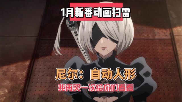 1月新番动画扫雷《尼尔:自动人形 (NieRAutomata Ver1.1a)》