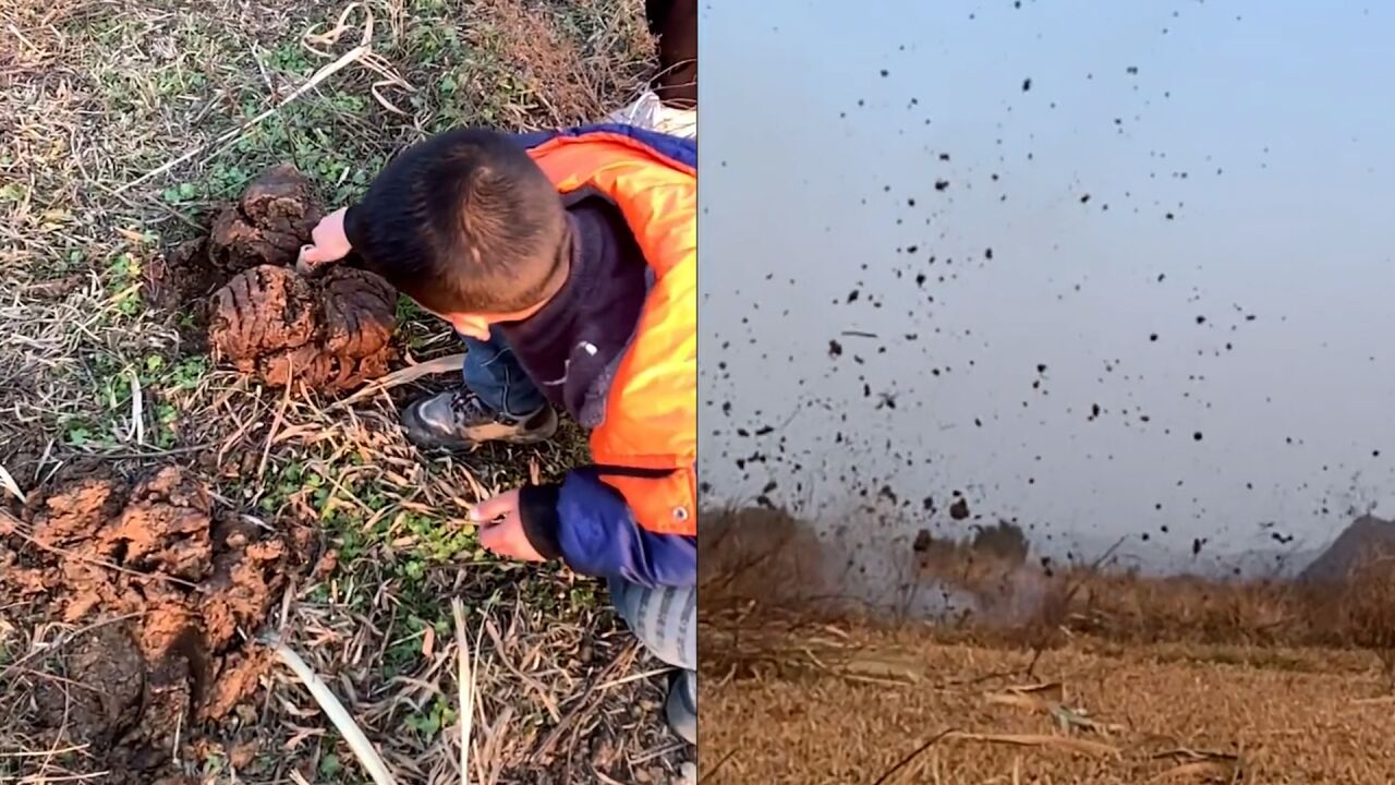 小伙农村带儿子炸牛粪,点燃炮仗后狂奔,牛粪直接降落在他脑门上