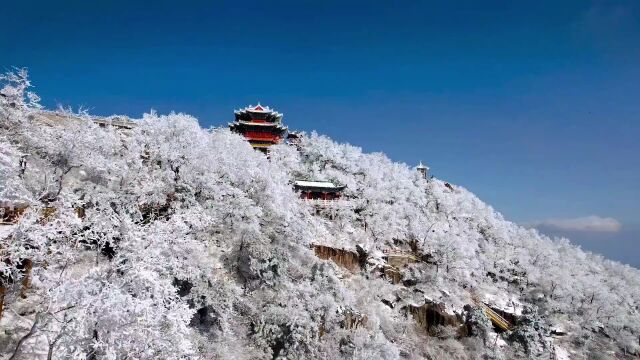 “千树万树梨花开”航拍雪后初晴沂山风景区 赏醉人雾凇美景