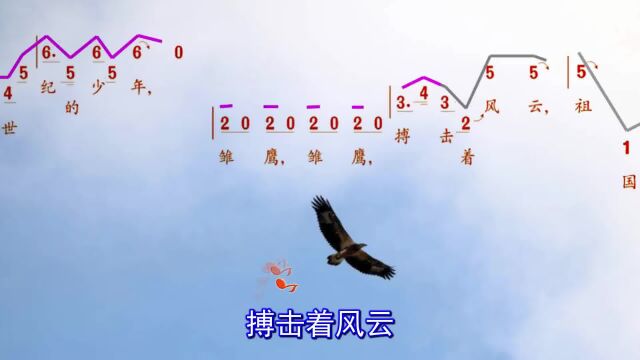 人音版小学五年级音乐上册《雏鹰之歌》动态谱 #小学音乐课 #课件制作 #简谱视唱