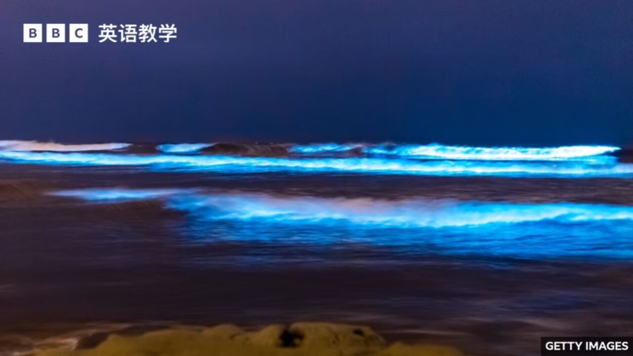 BBC英语大破解:生物发光现象“bioluminescence”令海水在夜晚发出蓝光_腾讯视频