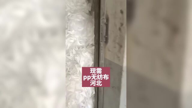 现需 pp无纺布 河北