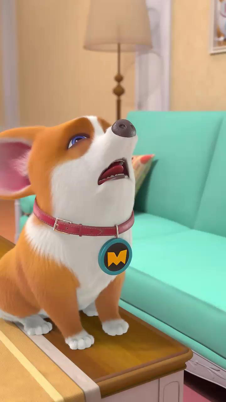 飞狗moco:为什么我的眼睛里常含泪水,因为我对主人爱得深沉