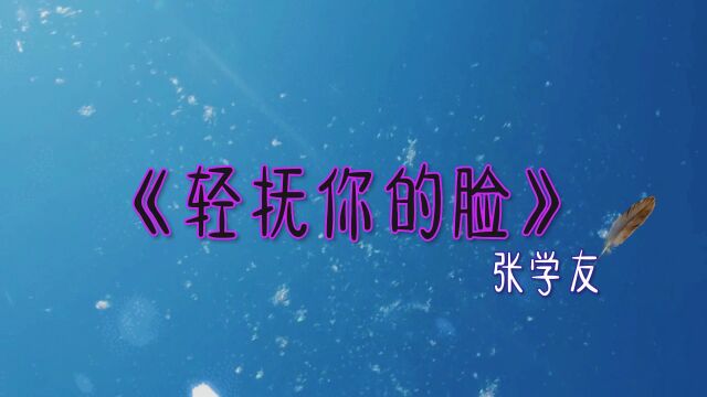 经典老歌百听不厌《轻抚你的脸》