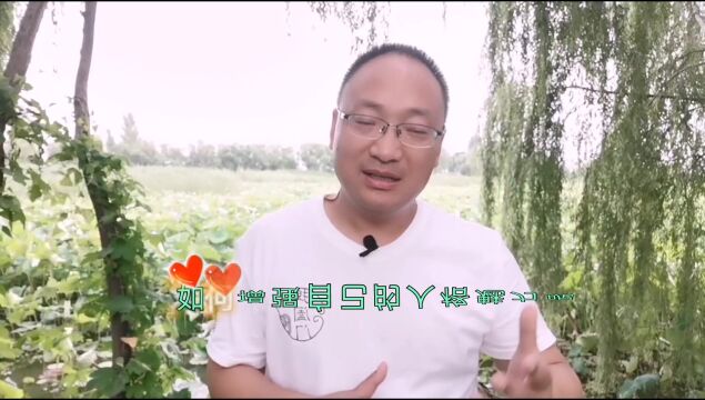 讲话模式增强你人格魅力,让人更信任的故事.