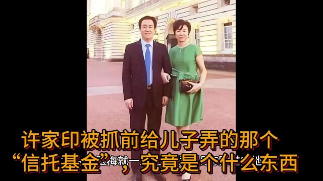 一片法外之地:许家印被抓前弄的“信托基金”,究竟是个什么东西?