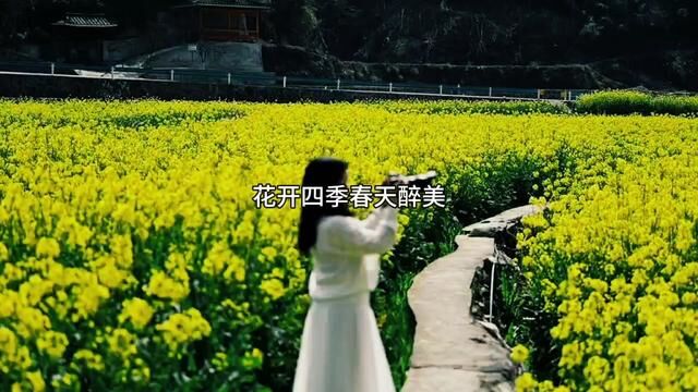 花开四季春天醉美 #醉美花海季 #春天油菜花 #听花开的声音 #讲花季的故事