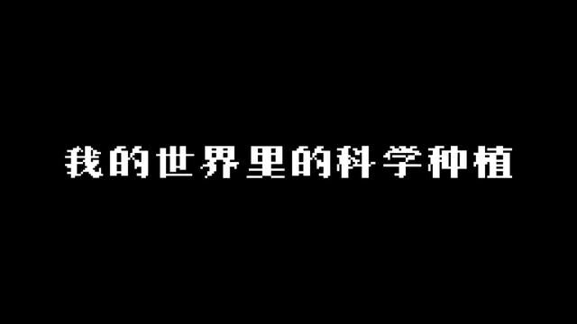 2.我的世界:生存系列.在我的世界里如何科学种植!