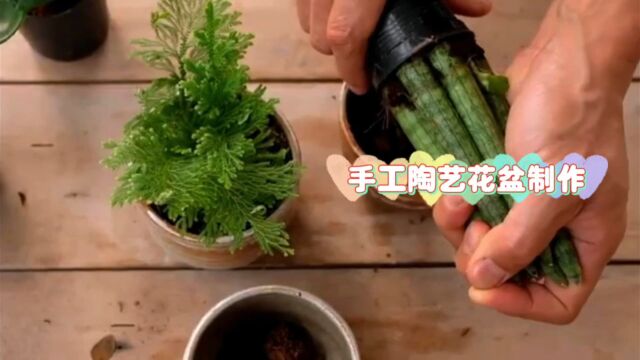 手工陶艺花盆制作,过程简单易学,看完你学会了吗