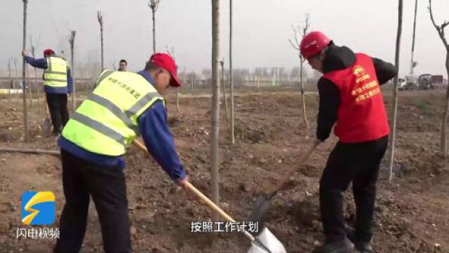 青岛市城阳区举行植树活动 为高速沿线增绿添色