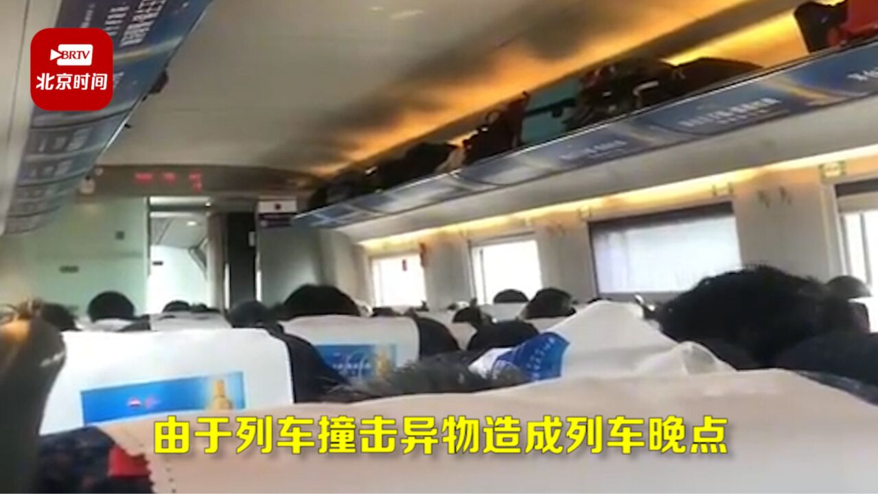 g3461高铁撞上飞鸟乘客换车致后续列车晚点