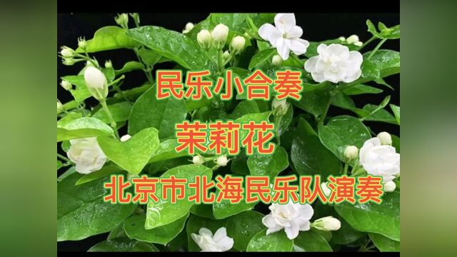 北京市北海民乐队演奏:茉莉花