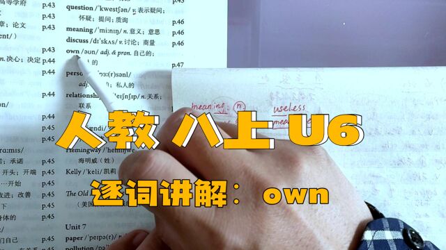 人教版 八上 U6 逐词讲解(三十六)own