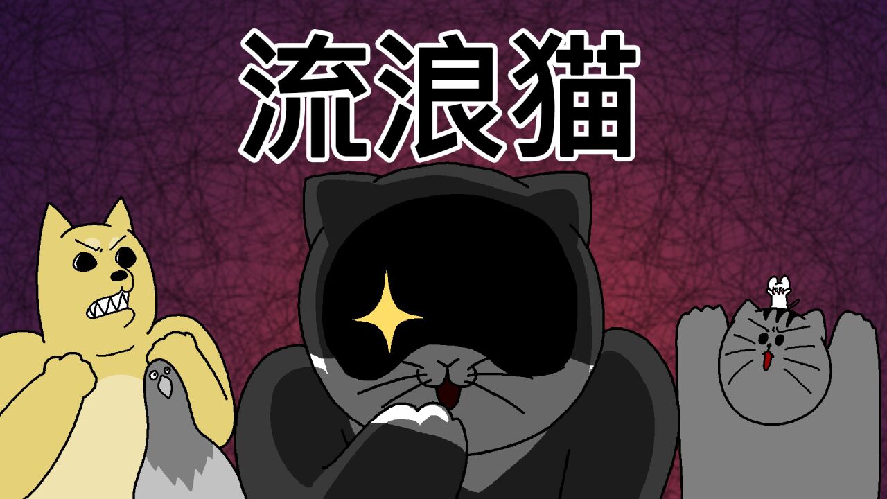 [禽兽朋友们] 流浪猫_高清1080p在线观看平台_腾讯视频