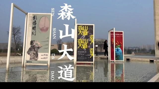 谢子龙的新展森山大道也太有意境了!#森山大道 #周末看展