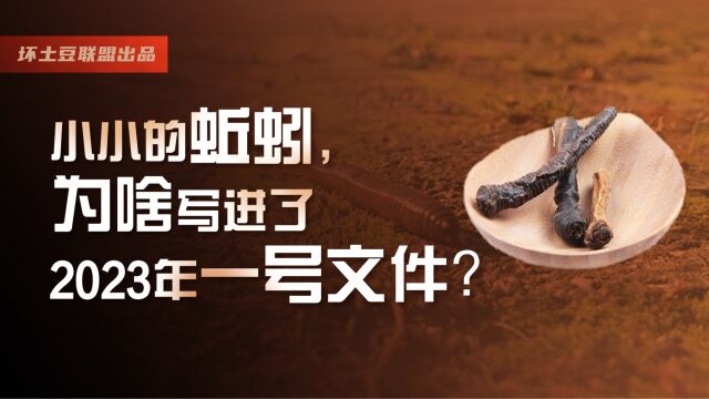 小小的蚯蚓,为啥让中央高度重视,并写进了一号文件?