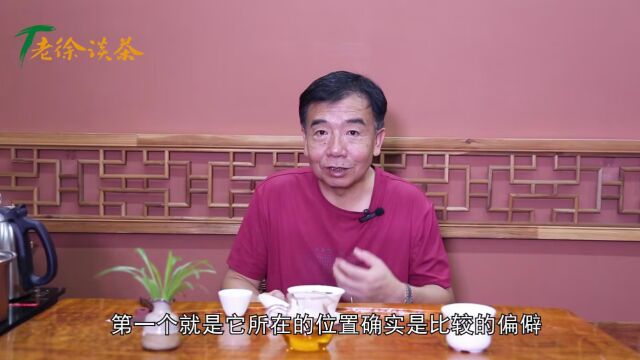 【老徐谈茶】第346期:蟒蛇箐的茶有何特点?后期转化值得期待吗?