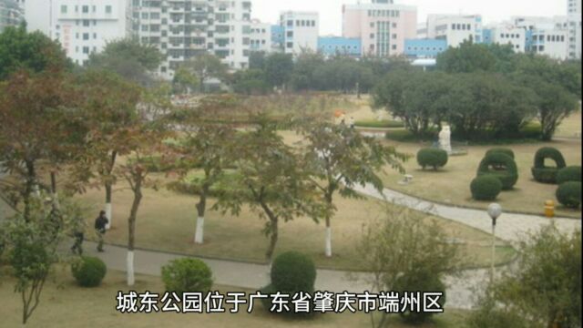 肇庆城东公园,休闲游乐的好去处