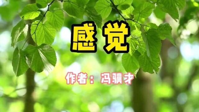 经典散文,《感觉》,作者冯骥才