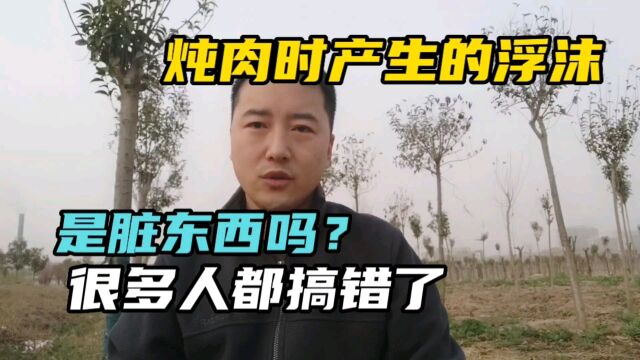 炖肉时产生的浮沫,是脏东西吗?很多人都搞错了