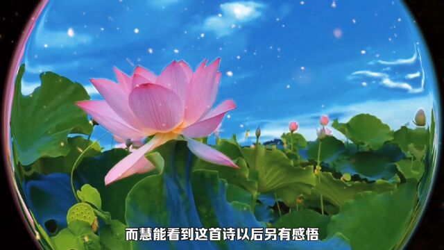 佛家:大智慧者就像莲花,在坏事好事并存的社会中不知道脏