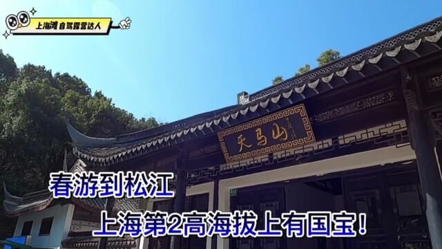 上海80后自驾日记,松江上海第二高海拔上居然有国宝#旅游攻略 #本地旅游 #徒步