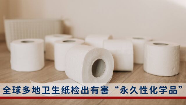 检出有害“永久性化学品”!全球多地卫生纸中发现有毒物质