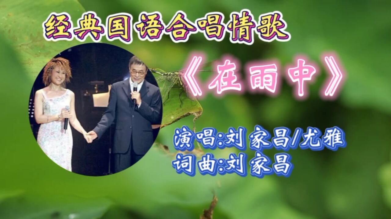 经典怀旧情歌《在雨中》刘家昌尤雅合唱,优美旋律动听感人至深,唯美