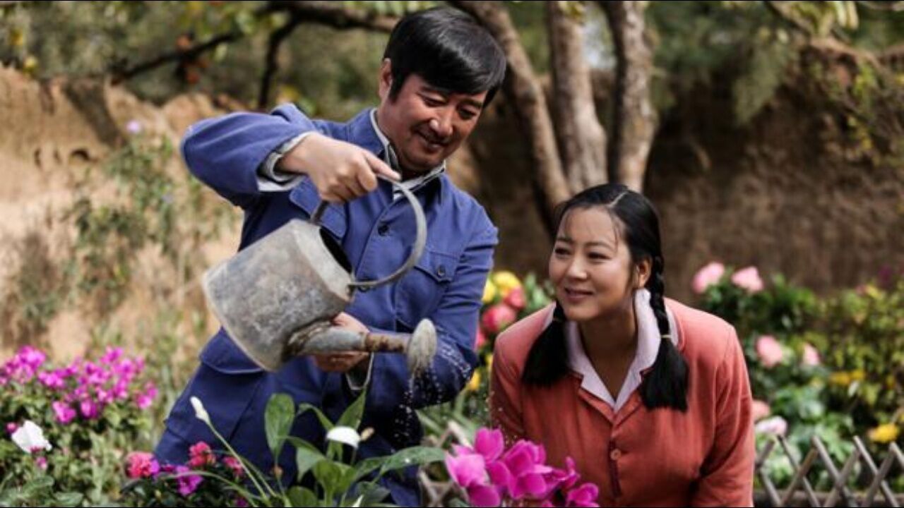 《岁岁年年柿柿红》26 孙菲菲考场前抱住了王长安 长全被胡小军打伤都