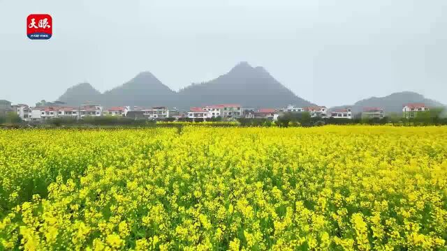 安顺平坝小河湾村:这里藏着一个“桃花源”