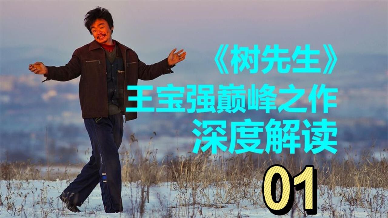 《HELLO树先生》01:深度解读王宝强巅峰之作,或许和你想得不一样!_腾讯视频