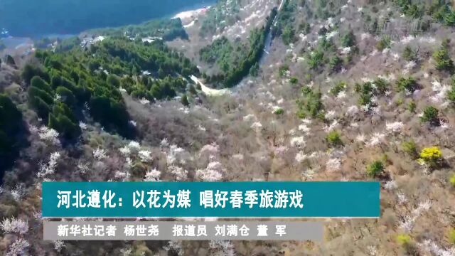 河北遵化:以花为媒 唱好春季旅游戏