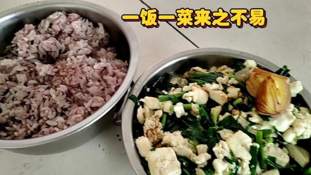 农民播主的日常生活,午饭开始了 #农家饭 #妈妈做的饭