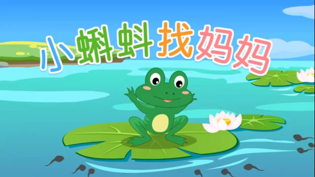 小蝌蚪找妈妈_高清1