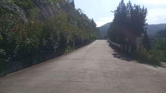 山中的风景