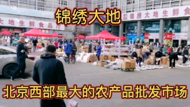 锦绣大地北京西部最大农产品批发市场,探访为首都服务的菜篮子