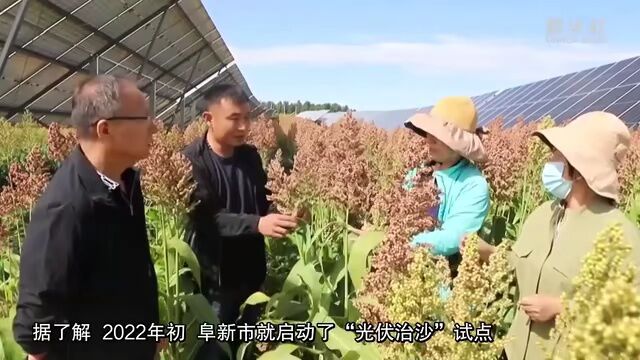 光伏治沙!辽宁阜新探索荒漠化生态治理新路径