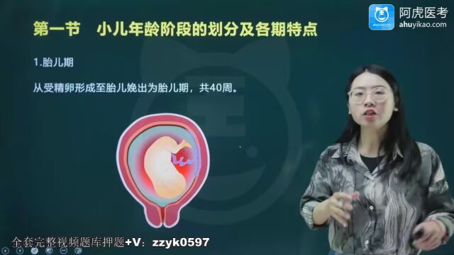 2024年初级护师初级职称考试视频课程题库历年真题培训绪论、小儿保健(1)