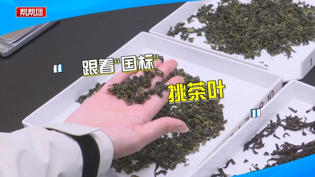 闻茶香,观察汤色、品其滋味,通过茶叶感官审评教你如何挑茶叶