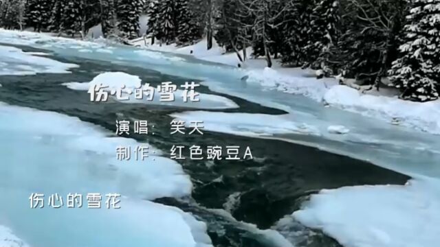 笑天一曲《伤心的雪花》深情好听,旋律伤感,让人忍不住泪流