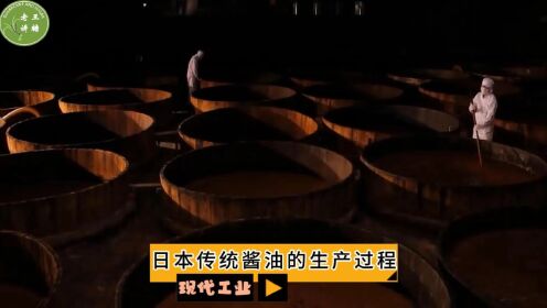 现代工业之——日本传统酱油的生产过程（老王讲糖系列视频）