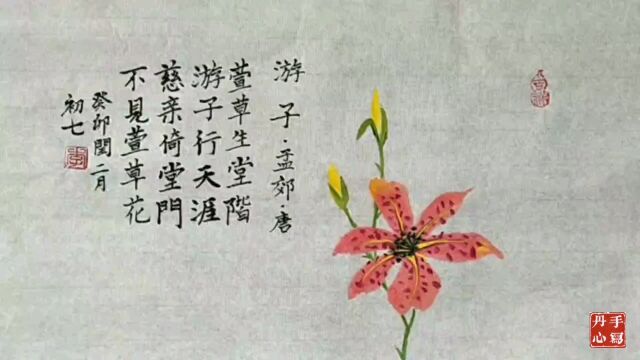 萱草花忘忧草母亲花