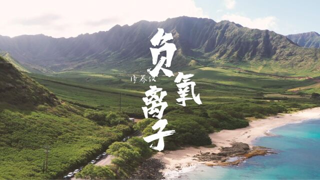 负氧离子浴净养仪,让你真正享受居家养生的乐趣