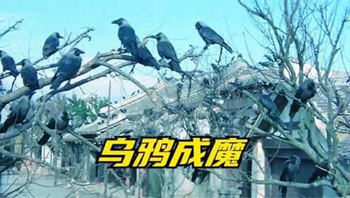 乌鸦成群结队袭击村民，请来捕鸟专家后，发现乌鸦已成魔《鸦魔》