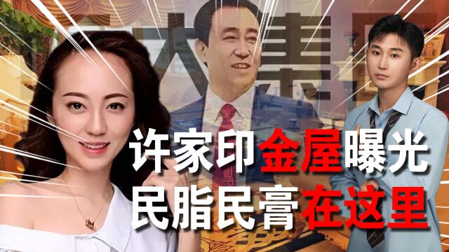 金杯银台黄金屋,许家印姨太6层豪宅曝光,原来民脂民膏都在这里