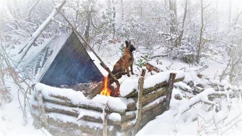 野外生存，一人一狗野外露营，突如其来的暴风雪差点冻成死狗