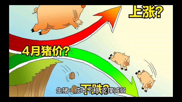 生猪周度观察及后期观点20230404