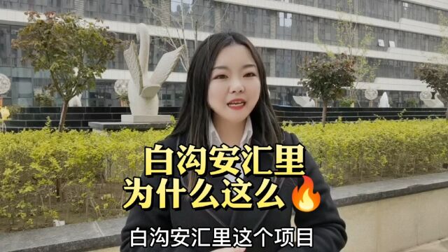 白沟安汇里为什么这么火优势在哪里