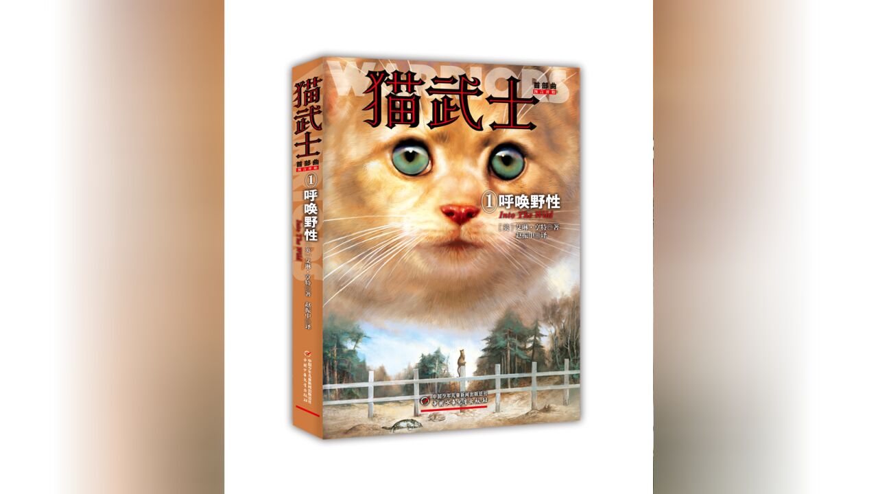 猫武士 预告_高清1080P在线观看平台_腾讯视频