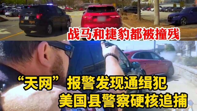 “天网”报警发现通缉犯,美国警察硬核追捕,战马和捷豹都被撞残